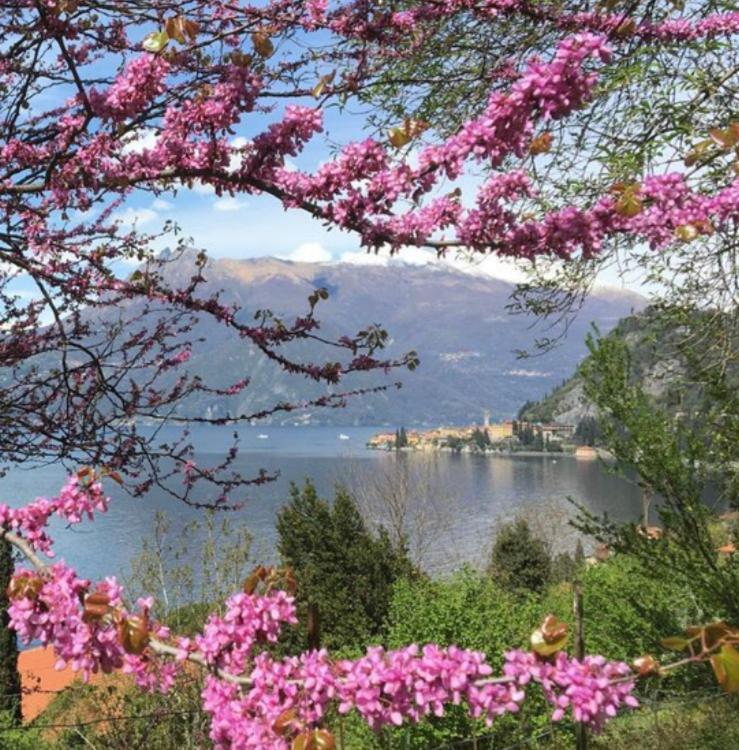 La Punta Di Varenna Ngoại thất bức ảnh